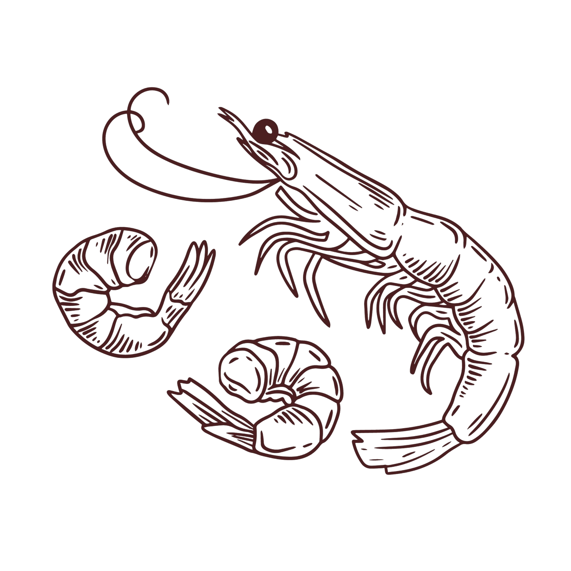 Shrimp